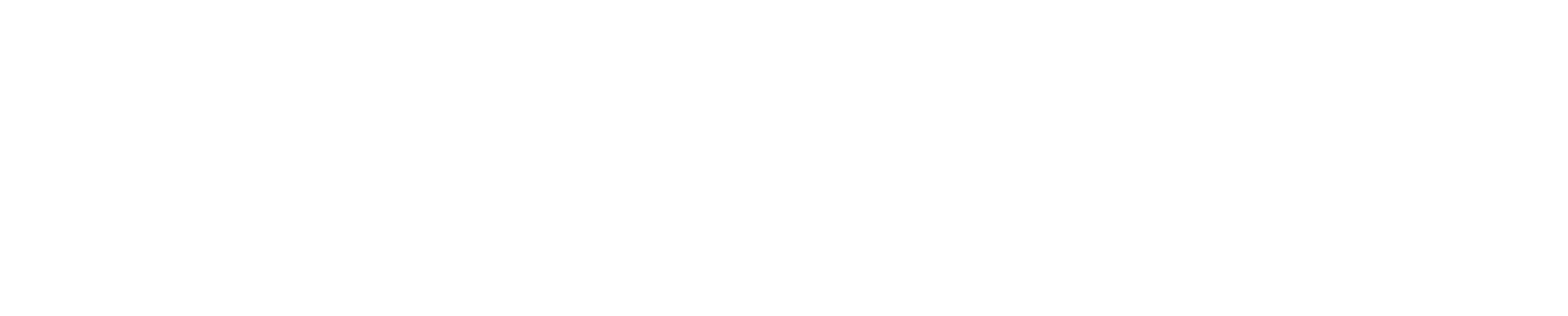 Netkom Soft logo